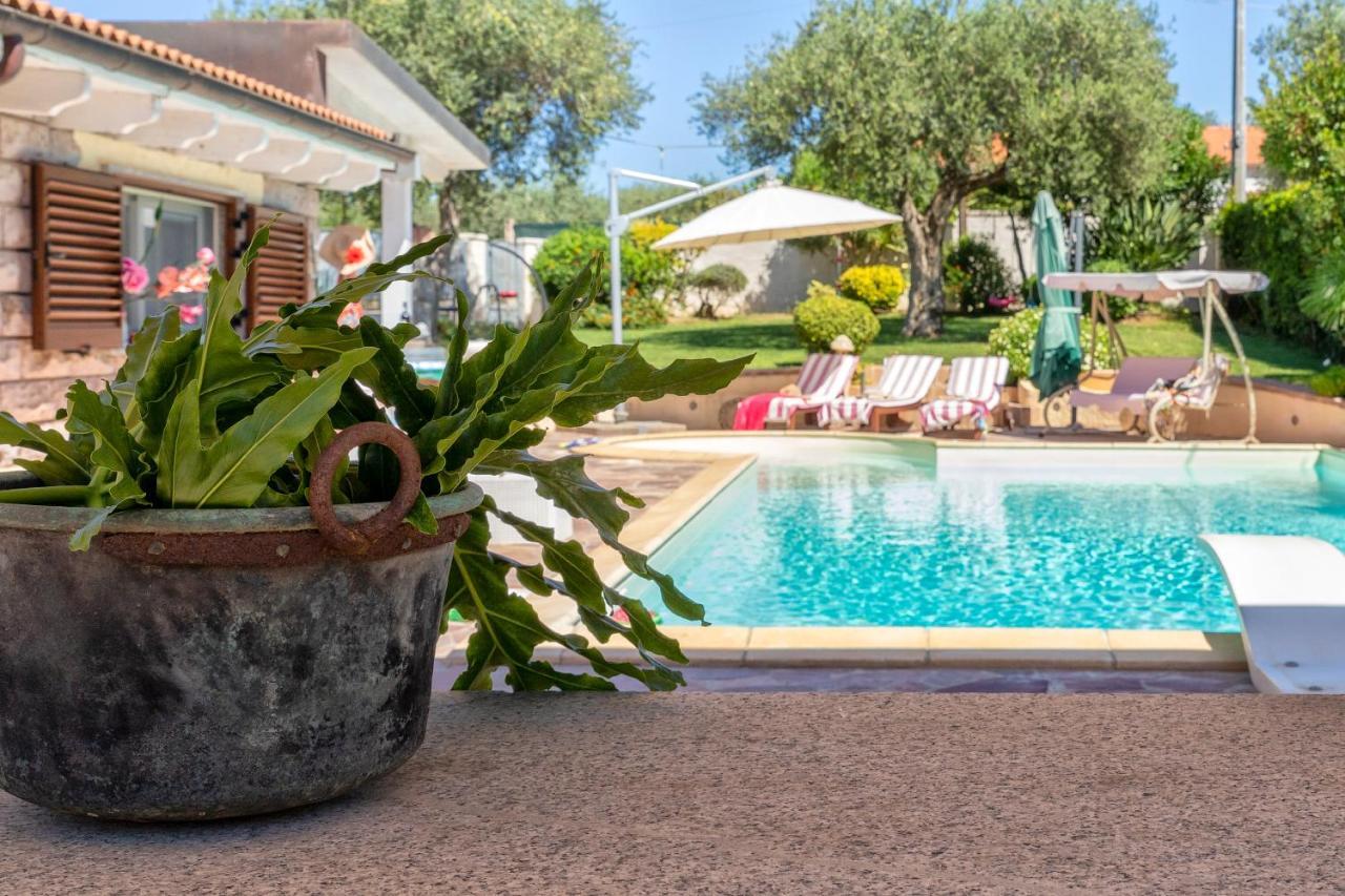 Villa Sunflower Альгеро Экстерьер фото